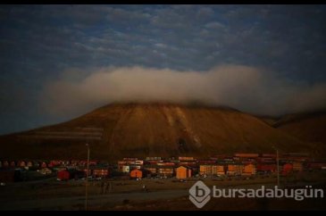 Svalbard'ta küresel ısınmadan değişen hayatlar