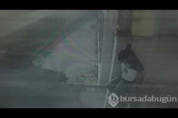 Demir korkuluk koluna saplandı