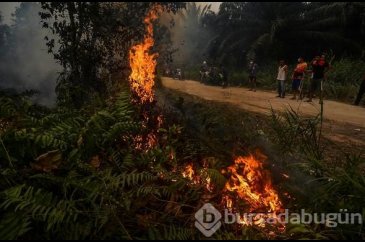 Riau eyaletinde orman yangını felaketi