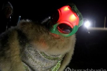 Esrarengiz üsse UFO'cu akını