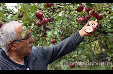 İçi de dışı da kırmızı!