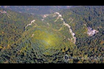 Batı Karadeniz sarı ve kahverengiye büründü