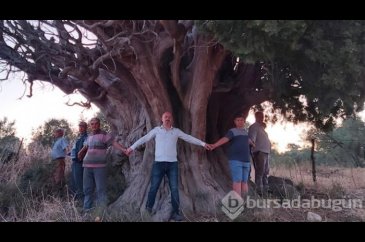 7 kişi denedi, yine de olmadı!