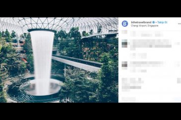 Changi Havalimanı görenleri hayrete düşürüyor