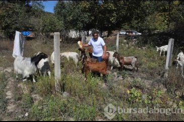 İki üniversite bitiren mandıra filozofu!