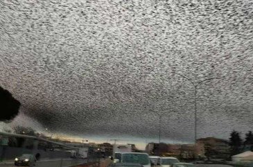 Günün en çok paylaşılan fotoğrafları