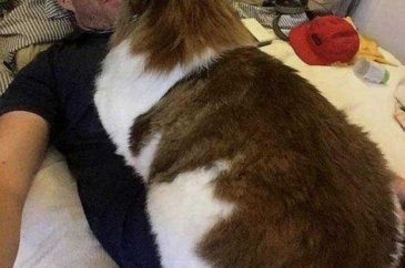 Günün en çok paylaşılan fotoğrafları
