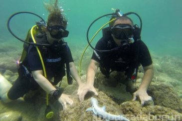 Kekova, dalış tutkunlarının gözdesi olma yolunda ilerliyor