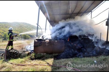 Yavrularının öldüğü yerden kalkmadı!