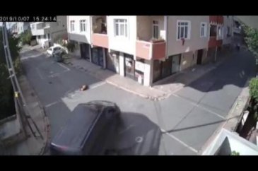 Köpeği ezdi, hiçbir şey olmamış gibi yoluna devam etti