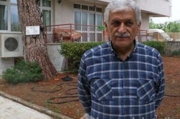 Kızılçam ağacını görenler şaşkına dönüyor!