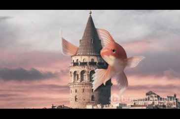 Yasin Yaman'dan 'fantastik' tasarımlar!