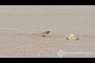 Göğsüne kesici alet saplanarak öldürülmüş!