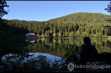 Artvin'in sakin şehri Şavşat'ta sonbahar