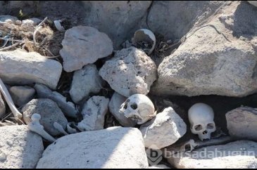İskeletler ve kafatasları etrafa saçıldı
