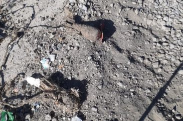 Askerin dikkati büyük bir faciayı önledi