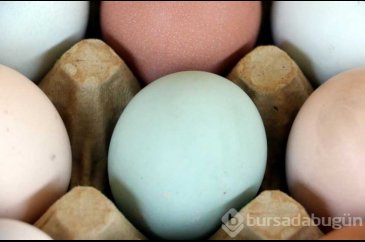 Emekli çift üretmeye başladı! 