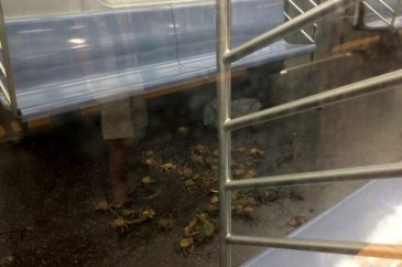 Metro istasyonlarında çekilmiş birbirinden ilginç 15 fotoğraf