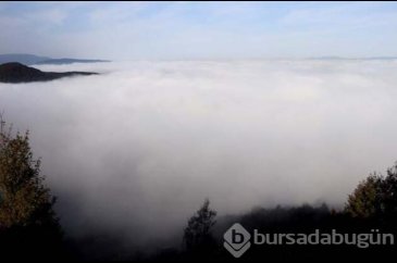 Bolu Dağı'nda sis güzel görüntüler oluşturdu