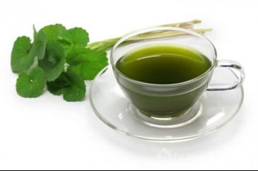 Antik Çağdan Miras: Gotu Kola