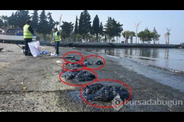 Saat 05.00'te başladı!