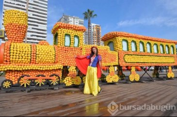Süslemeler için 30 ton ürün kullanıldı! 