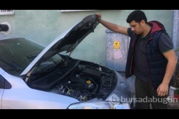 Bursa'da yeni aldığı otomobilin motorundan yılan çıktı