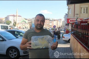 Yolda buldu bidona koydu!