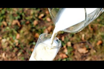 Yıllardır sağlıklı diye içiyoruz ama her damlası kanser!