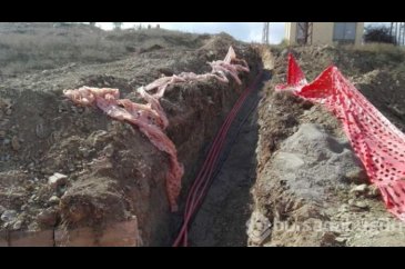 Bilecik'te elektrik kablolarını çaldılar