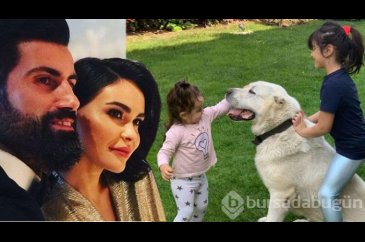 Volkan Demirel köpeğini kaybetti!