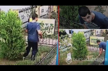 Tekmeleyerek yavru kediyi öldürdü!
