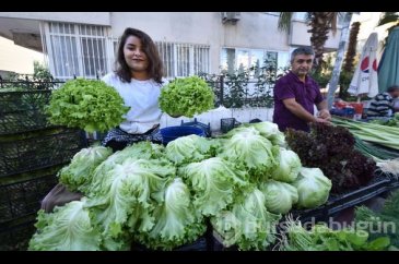 Halter şampiyonluğu kovalayan Seher pazarda marul satıyor