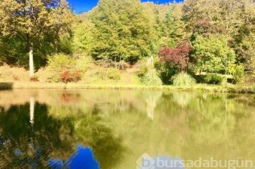 Atatürk Arboretumu'nda ziyaretçi akını
