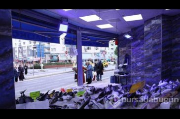 Balıkçılardaki mavi ışığın sırrı çözüldü