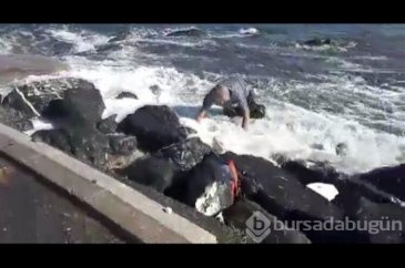 Büyükada'da dalga paniği