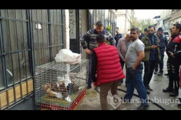 Bursa'da çıkan yangında güvercin ve tavuklar için seferber oldular!