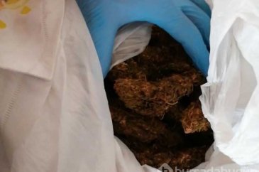 Tadilat yapılan evden 20 kilo esrar çıktı