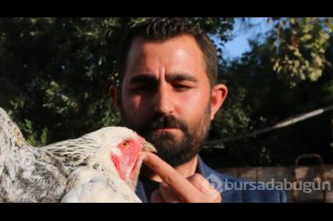 Tavuklar için işini bıraktı... Şimdi para basıyor!