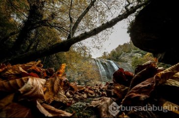 Fay hattının kırılmasıyla oluşan Suuçtu Şelalesi'nde sonbahar güzel...
