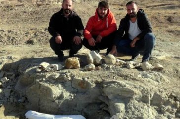 7,5 milyon yıllık yeni fosil bulundu!