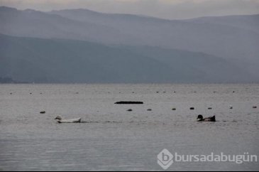 Bursa'da sular çekilince ortaya çıktı!