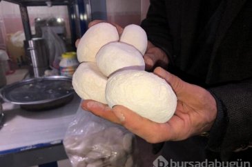 Tam bir şifa kaynağı