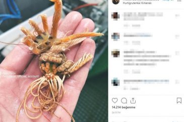Fenomen isim bunu paylaştı!