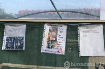 Lüks sitenin sakinlerini ayağa kaldıran olay!