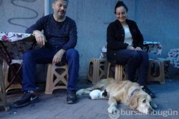 Dışlanan kediyi o sahiplendi