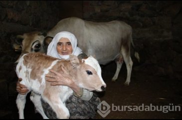 Cemile teyzenin mutluluk fotoğrafı