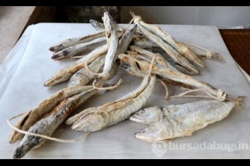 Çiroz, sofraların vazgeçilmez lezzeti olmaya devam ediyor