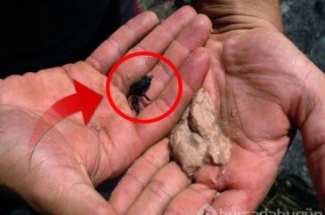 Bilim insanlarından şaşırtan keşif!