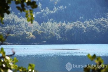 Deniz çekilince adacıklar ortaya çıktı!